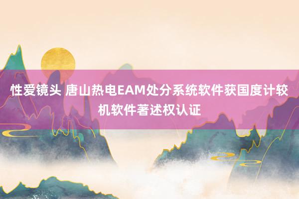 性爱镜头 唐山热电EAM处分系统软件获国度计较机软件著述权认证