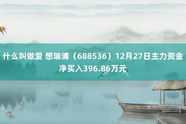 什么叫做爱 想瑞浦（688536）12月27日主力资金净买入396.86万元