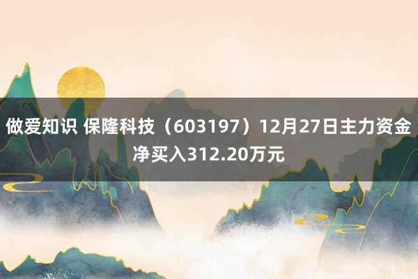 做爱知识 保隆科技（603197）12月27日主力资金净买入312.20万元