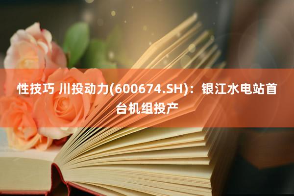 性技巧 川投动力(600674.SH)：银江水电站首台机组投产