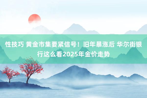 性技巧 黄金市集要紧信号！旧年暴涨后 华尔街银行这么看2025年金价走势