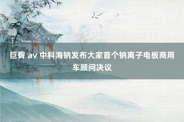 巨臀 av 中科海钠发布大家首个钠离子电板商用车顾问决议
