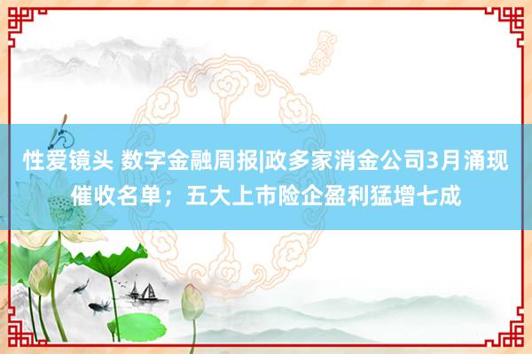 性爱镜头 数字金融周报|政多家消金公司3月涌现催收名单；五大上市险企盈利猛增七成