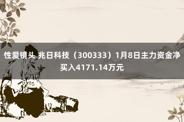 性爱镜头 兆日科技（300333）1月8日主力资金净买入4171.14万元