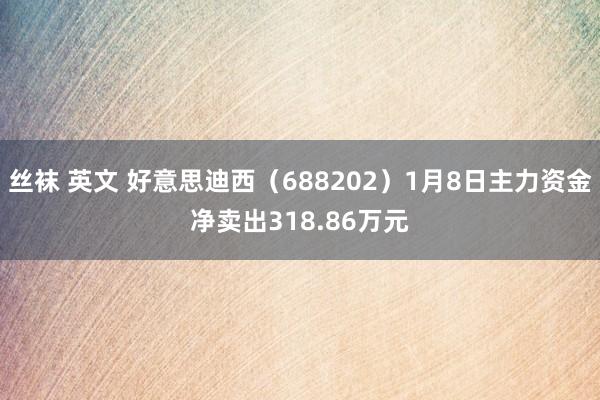丝袜 英文 好意思迪西（688202）1月8日主力资金净卖出318.86万元