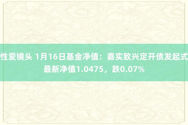 性爱镜头 1月16日基金净值：嘉实致兴定开债发起式最新净值1.0475，跌0.07%