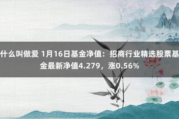 什么叫做爱 1月16日基金净值：招商行业精选股票基金最新净值4.279，涨0.56%