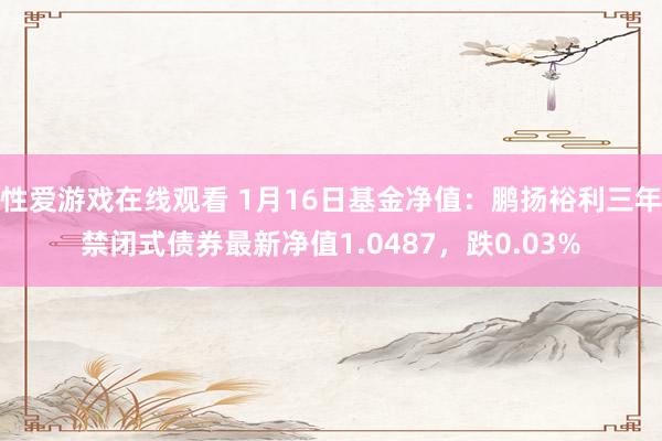 性爱游戏在线观看 1月16日基金净值：鹏扬裕利三年禁闭式债券最新净值1.0487，跌0.03%