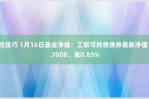 性技巧 1月16日基金净值：工银可转债债券最新净值1.7008，涨0.85%