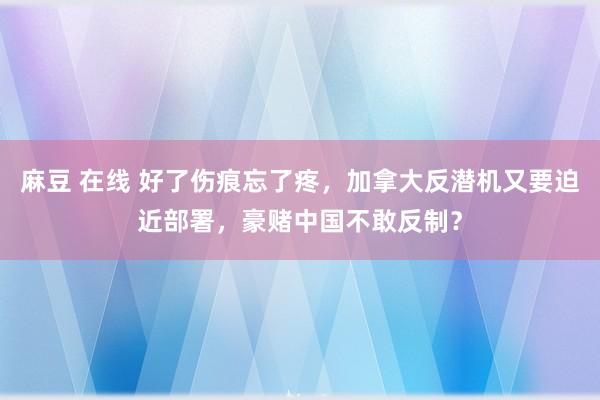 麻豆 在线 好了伤痕忘了疼，加拿大反潜机又要迫近部署，豪赌中国不敢反制？