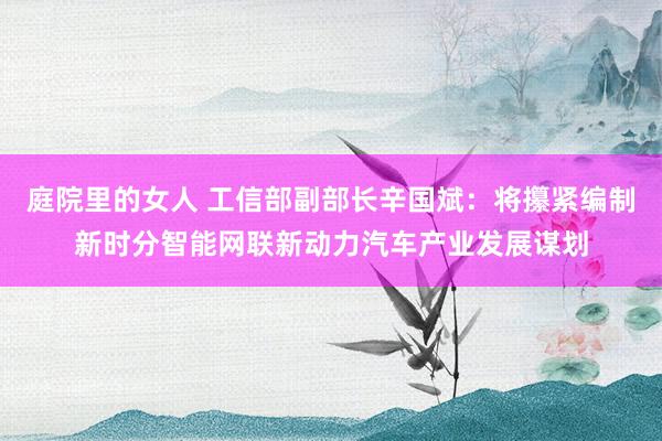 庭院里的女人 工信部副部长辛国斌：将攥紧编制新时分智能网联新动力汽车产业发展谋划