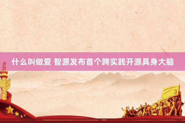 什么叫做爱 智源发布首个跨实践开源具身大脑