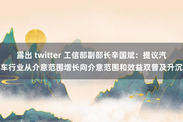 露出 twitter 工信部副部长辛国斌：提议汽车行业从介意范围增长向介意范围和效益双普及升沉