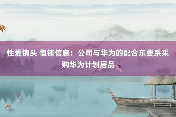 性爱镜头 恒锋信息：公司与华为的配合东要系采购华为计划居品
