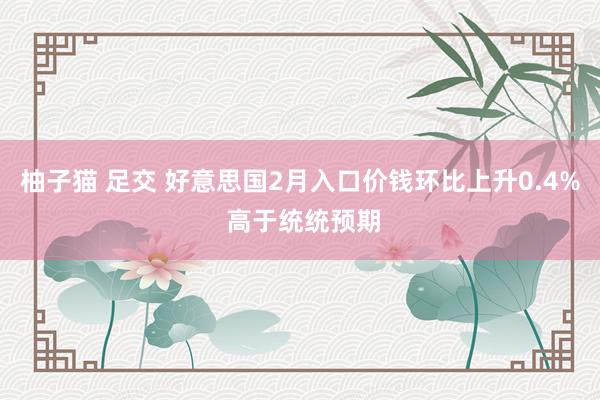 柚子猫 足交 好意思国2月入口价钱环比上升0.4% 高于统统预期