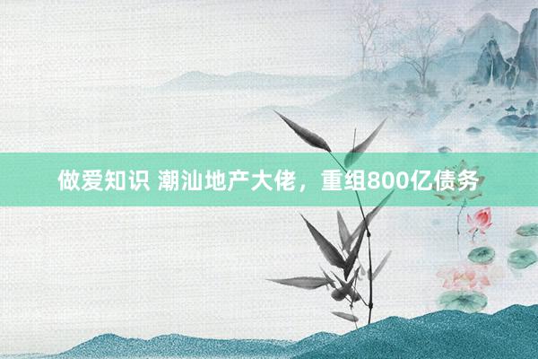 做爱知识 潮汕地产大佬，重组800亿债务