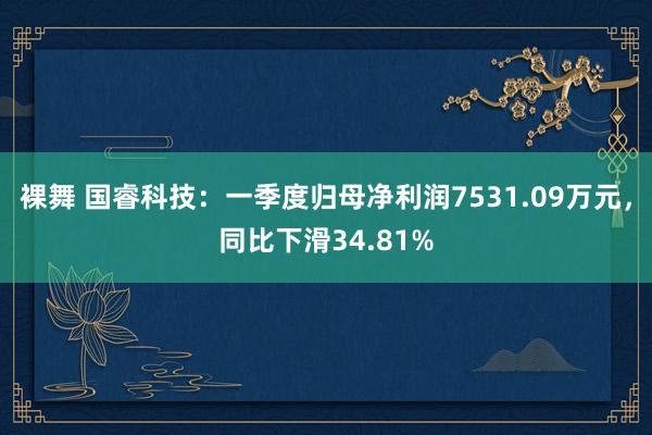 裸舞 国睿科技：一季度归母净利润7531.09万元，同比下滑34.81%