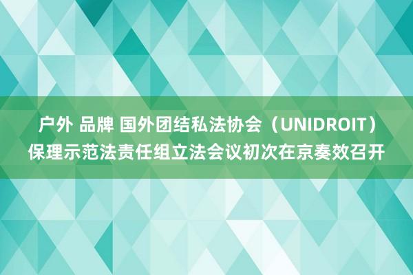 户外 品牌 国外团结私法协会（UNIDROIT）保理示范法责任组立法会议初次在京奏效召开