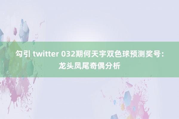 勾引 twitter 032期何天宇双色球预测奖号：龙头凤尾奇偶分析