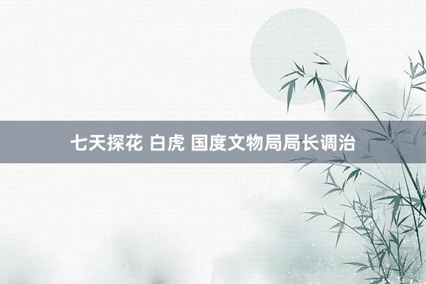 七天探花 白虎 国度文物局局长调治